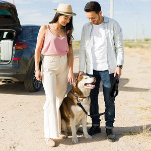 Dog Car Seat Cover Hammock + 2 Car safety belt