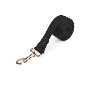 Pet Recall Rope
