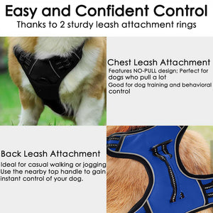 No-Pull Adjustable Front Range Dog Harness