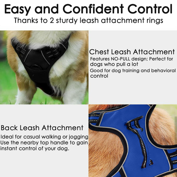 No-Pull Adjustable Front Range Dog Harness