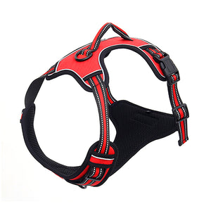 No-Pull Adjustable Front Range Dog Harness
