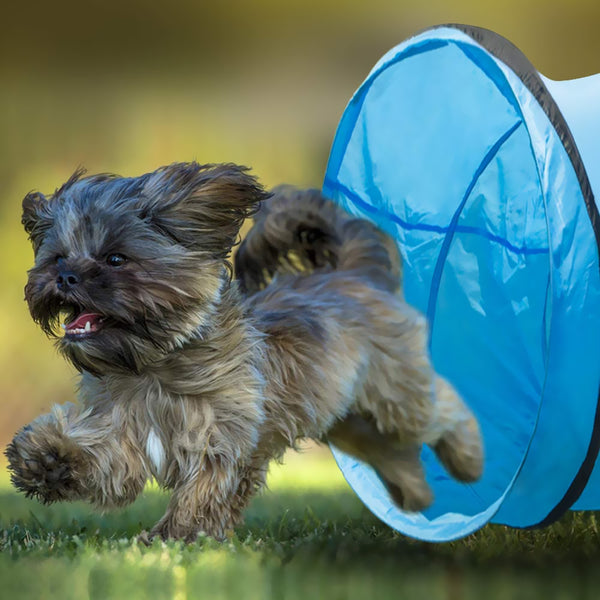 Pet Exercise Tunnel
