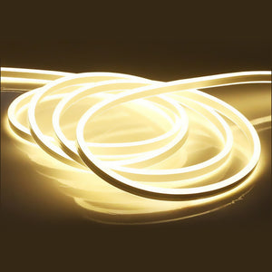 5M LED Strip Neon Festivals