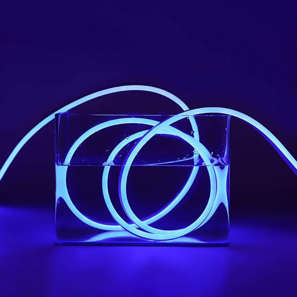 5M LED Strip Neon Festivals