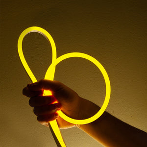 5M LED Strip Neon Festivals