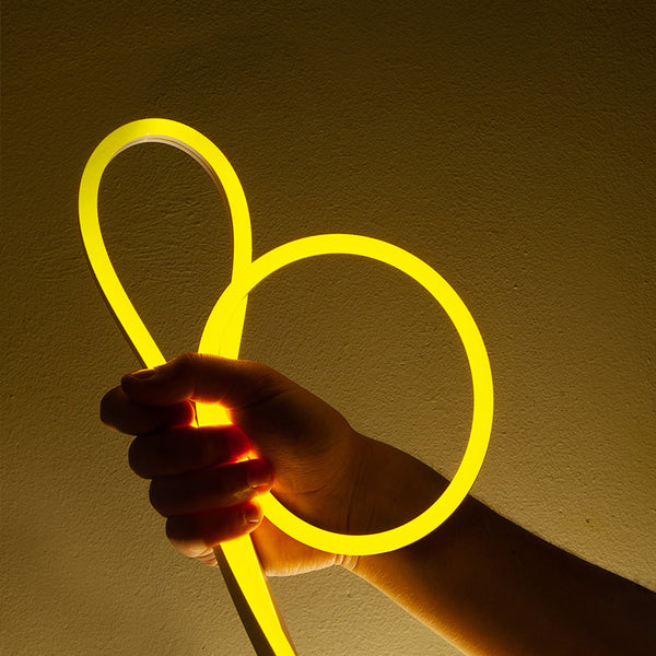 5M LED Strip Neon Festivals