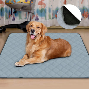 Washable Dog Training Pad