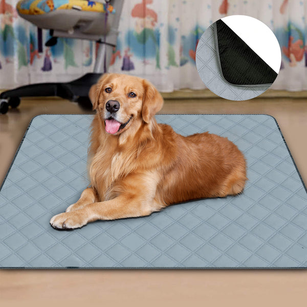 Washable Dog Training Pad