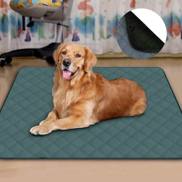 Washable Dog Training Pad