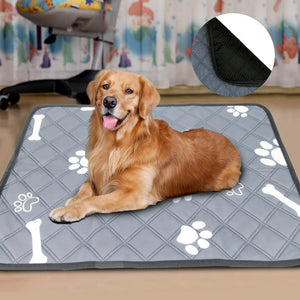 Washable Dog Training Pad