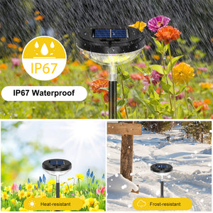 Solar Pathway Lights Warm White + RGB