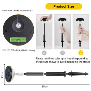 Solar Pathway Lights Warm White + RGB