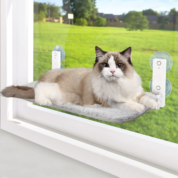 Cat Window Hammock