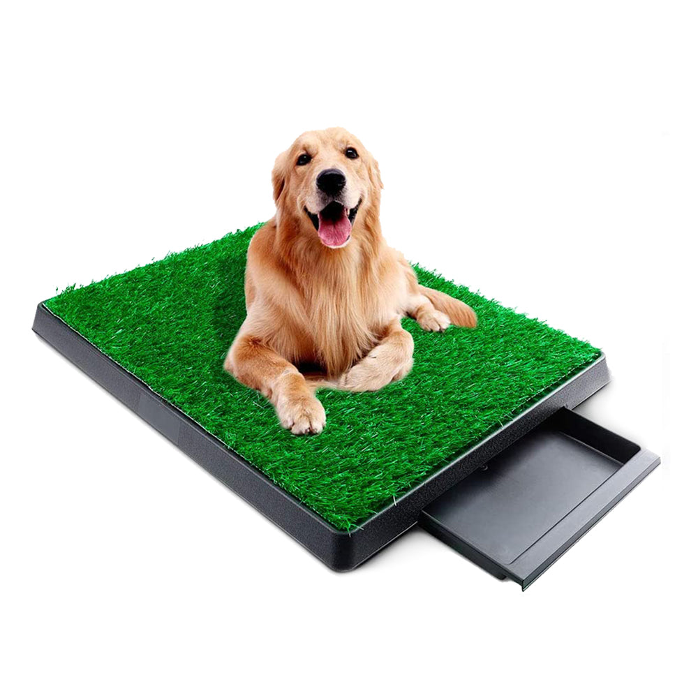 Grass Pet Potty