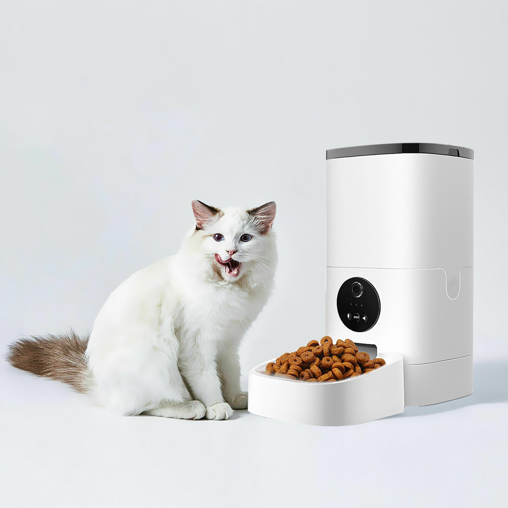 Pet Auto Feeder 6L