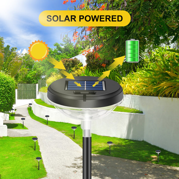 Solar Pathway Lights Warm White + RGB